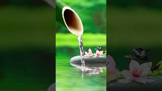Deep Sleep Music, Calming Music, Insomnia, Sleep, Relaxing Music, Study, Sleep Meditation, healing