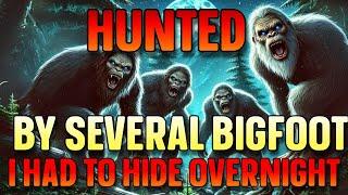 SEVERAL BIGFOOT HUNTED ME FOR DAYS, FORCING ME TO CAMOUFLAGE AND HIDE OVERNIGHT