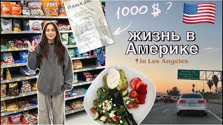 ВЛОГ моя жизнь в Америке  магазины, цены, продукты