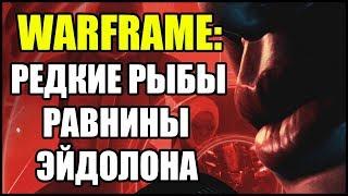 Warframe: Поймайте несколько редких рыб на Равнинах Эйдолона. Украсьте модульное снаряжение.