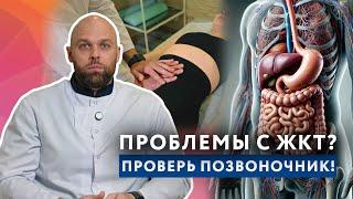 Как вылечить ЖКТ остеопатией? // Позвоночник и ЖКТ - какая связь?// #zdravclinic