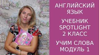 Учебник Spotlight 2 класс, 1 модуль, учим слова