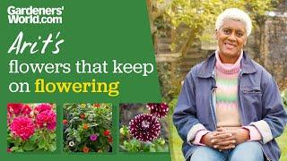 5 plants that flower ALL summer long | Arit Anderson