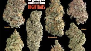 Seeds & Strains Guide 2010