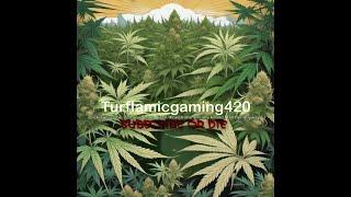 Turflamicgaming420 Subscribe or DIE!!!