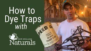 Dying Traps with 'Speed Dip': Preparing for Trapping Season