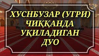 Хуснбузар (Угри) Йуқотиш Учун Уқиладиган Дуо duolar kanali