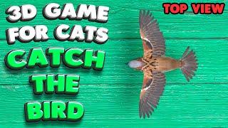 3D game for cats | CATCH THE BIRD (top view) | 4K, 60 fps, stereo sound