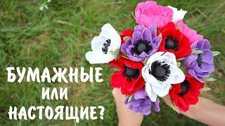 Анемона из бумаги I Crepe paper anemona diy I Мастер-класс