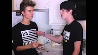 Hamster,Chest And Rats Vine