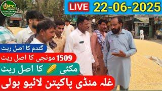 Corn Price makki Gundam Munji rate today 22-06-2025 Live Boli Ghala Mandi Pakpattan Mazhar Agri Info