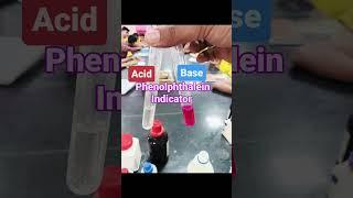 #ACID #Base #cbseclass10 INDICATOR #science #chemistry #experiment #funwithchemistry