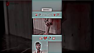 True Love Story Video ‍🩹 Tripti Dimri New Song ‍ Romantic Love #trending #love #status #broken