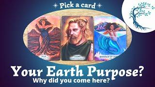 Your Earth Purpose? Why Did You Come Here? ⎜Pick a card⎜🃏Timeless reading