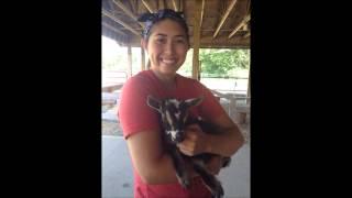 RPL 518 Kat's personal philosophy video