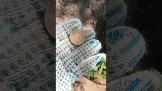 Золото партии #металлоискатель #metaldetecting #garrett #коп #coin #md #кладоискатель #клад #мд