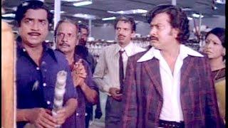 Super Hit Comedy | Comedy Scenes | Super Hit Comedy Scenes