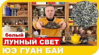 ЧАЙ БЕЛЫЙ ЛУННЫЙ СВЕТ или ЮЭ ГУАН БАЙ