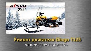 Dingo 125  ремонт двигателя. Часть 1. Снимаем двигатель