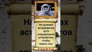 Факты #256