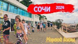 СОЧИ | МОРСКОЙ ПОРТ | МИДИЙНОЕ МЕСТО #сочи #мидии