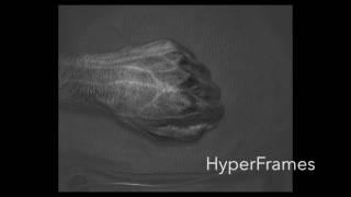 HyperCam: Hyperspectral Imaging for Ubiquitous Computing Applications