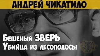 Андрей Чикатило. Убийца из лесополосы. Остановить Чикатило