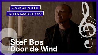 Stef Bos – Door de wind | Voor wie steek jij een kaarsje op?