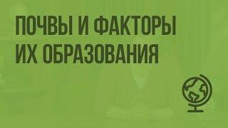 Почвы и факторы их образования. Видеоурок по географии 8 класс