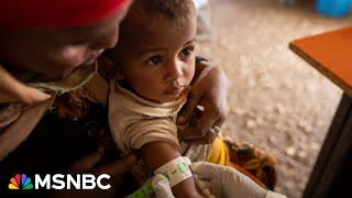 Refugees are 'America’s benefit'—not burden—as world hits record high in displacement