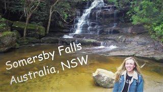 Somersby Falls, Australia (Поездка на водопады Somersby)