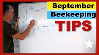 Beekeeping Tips For The Month Of September | Don't Let Winter Kill Your Bees