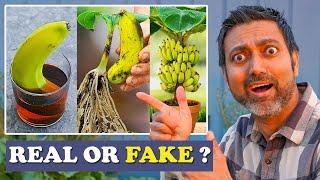 SPOT Fake Gardening Videos on YouTube