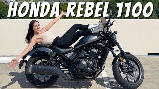 Should You Buy a Rebel 1100? - A Beginner Rider's Honest Review