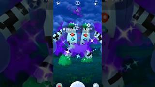 The highlight of my Pokémon Go weekend! Shiny Shadow Regigigas ️ #pokemon #pokemongo #shiny