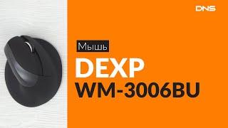 Распаковка мыши DEXP WM-3006BU / Unboxing DEXP WM-3006BU