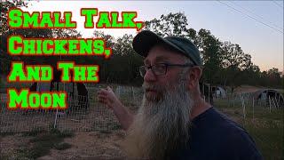 Small Talk, Eggs, Relaxing Music with Chicken TV And The Moon | Arkansas homesteading cats