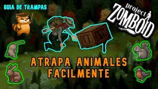 MEJORES TRAMPAS Y CEBOS │ GUIA DE TRAMPAS (Trapping) │PROJECT ZOMBOID