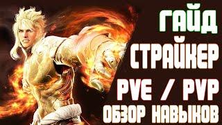  ОБЗОР СТРАЙКЕР / ️ PVE PVP СКИЛЛЫ ️ / ГАЙД / STRIKER GUIDE / Black Desert Mobile