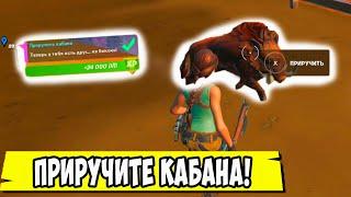 *ПРИРУЧИТЕ КАБАНА В Fortnite! 2 НЕДЕЛЯ ИСПЫТАНИЙ 16 СЕЗОН В Фортнайт!*