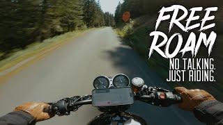 Fuel Anxiety On Narrow Forest Backroads // Triumph Speed Twin 1200 [4K]