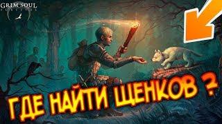 Нашел щенка ! Где можно найти щенка ? Все способы получения ! grim soul : dark fantasy survival