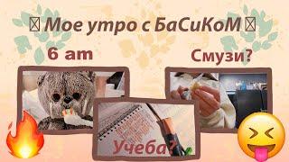 Мое утро с Басиком | Как хорошо провести утро?