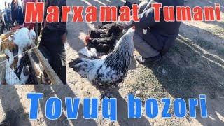 MARXAMAT  MOL BOZORI |  Marxamat  TOVUQ  Bozori  02.05.2012