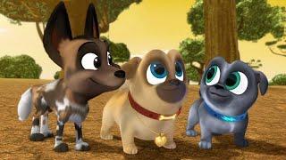  Impressing Rufus | Puppy Dog Pals | Disney Kids