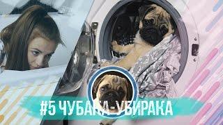 #5 Чубака-убирака / Мопс всегда поможет по хозяйству