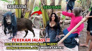  VIRAL !! WAJAH BABI NGEPET PEREMPUAN SETELAH MENJADI MANUSIA ASLI ( WANITA CANTIK )