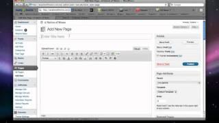 WordPress Beginner's Tutorial- Pages and Drop Down Menus