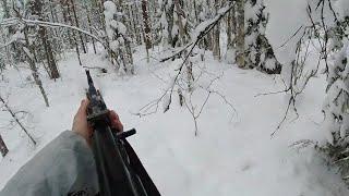 ОХОТА НА ЛОСЯ, НАШЁЛ ЦЕЛОЕ СТАДО! ДВА ДНЯ ИЗ ЖИЗНИ ОХОТНИКА! Moose hunting