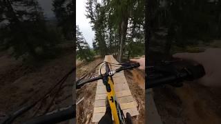 I can’t believe this is a legal trail!